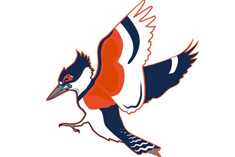 Kingfisher illinois mascot